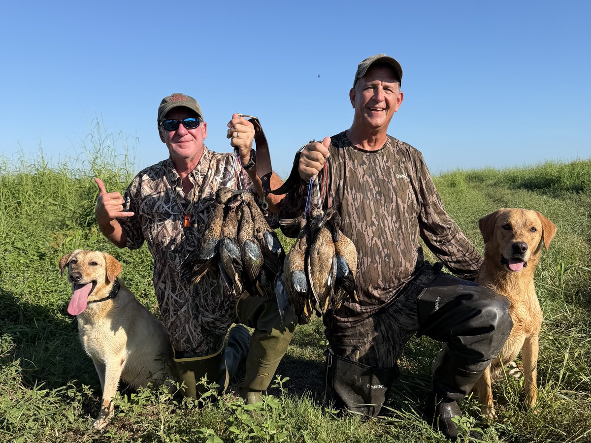 Two hunters and two Labs with a strap of teal in a South Louisiana field